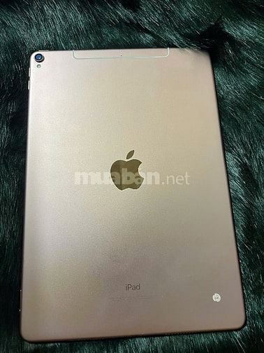 Ipad Pro 2017 64gb bản dùng dc sim