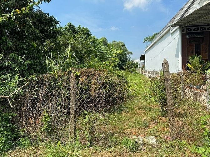 Chính chủ bán đất MT Bến Đường Cát, Tân Thạnh Đông, 560m2, 6.9 Tỷ