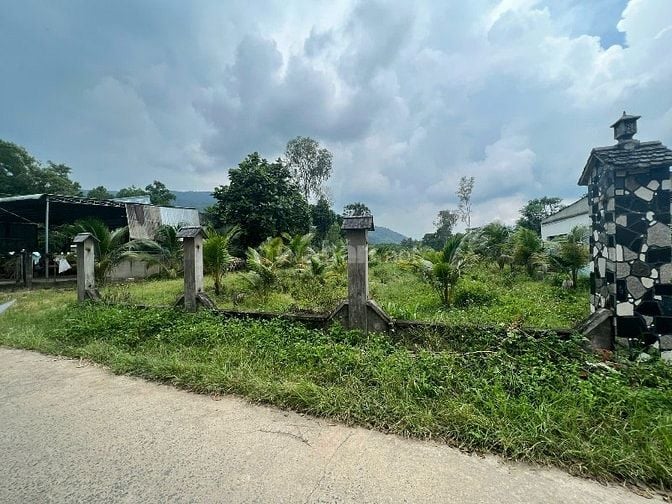 CÔNG TY ĐẤU GIÁ HỢP DANH MINH PHÁP THÔNG BÁO ĐẤU GIÁ TÀI SẢN