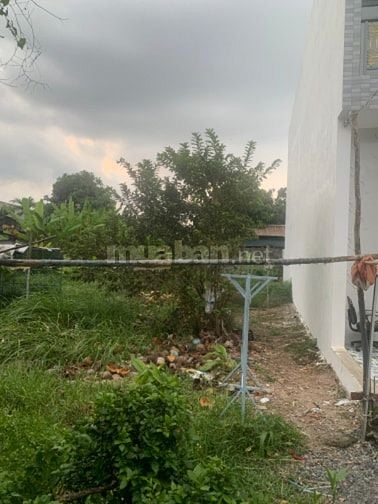 Đất thổ cư sổ hồng riêng xây dựng tự do