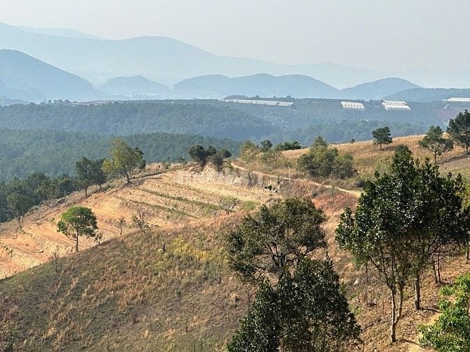 150tr/1000m2 đất giấy viết tay có 3000m2 Tà Nung-Đà Lạt đang canh tác 