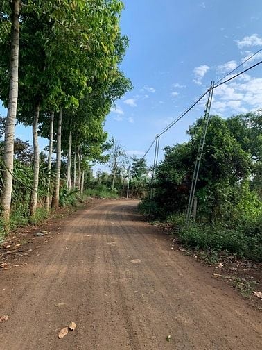 HÓT HÓT LÔ ĐẤT 10X 43 PHÁP LÝ CHUẨN SỔ HỒNG. P, ĐOÀN KẾT, TX BUÔN HỒ, 