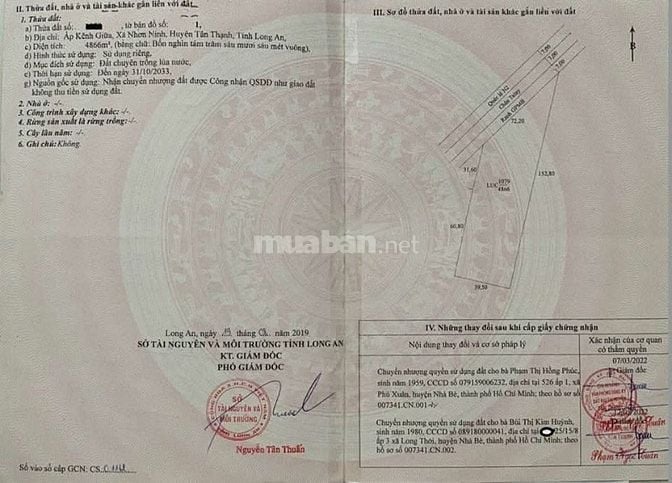 Bán 4866m2 Mt qlo N2, Nhơn Ninh - Tân Thạnh - Long An