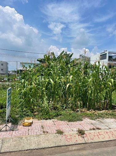 Bán đất khu Châu Long Long phước 3,8 tỷ tl