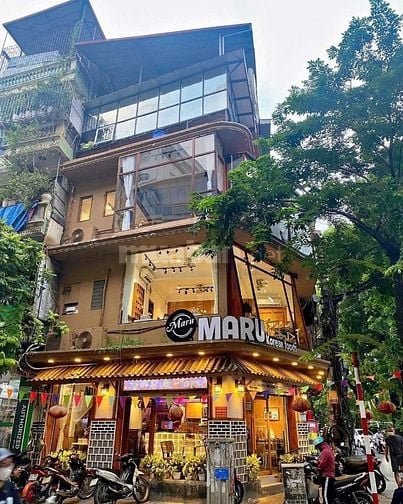 Cho thuê nhà Lô Góc 6 tầng mặt phố Nguyên Hồng, kinh doanh đỉnh 