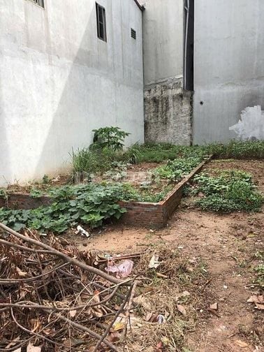 BÁN GẤP - ĐẤT VÀNG - PHỐ ĐÀO TẤN -45M -MT 5,2M -Chỉ 8,5 tỷ 