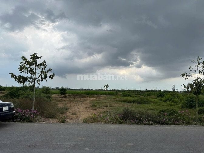 ĐẤT MẶT TIỀN XÃ YÊN LUÔNG GÒ CÔNG TÂY 252,7M2  SỔ SẴN CÔNG CHỨNG LIỀN