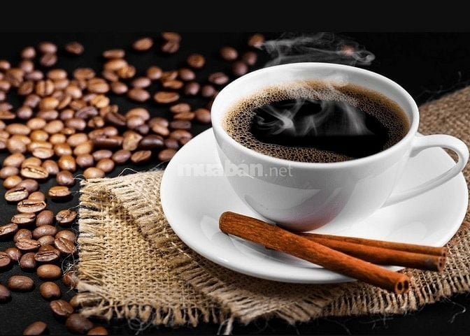 Việc làm bán Cafe Tân Phú -Không Yêu Cầu Kinh Nghiệm, Thu Nhập Hấp Dẫn