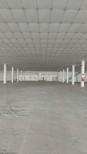 Cho thuê xưởng bình chánh dt 7000m giá 400 tr 