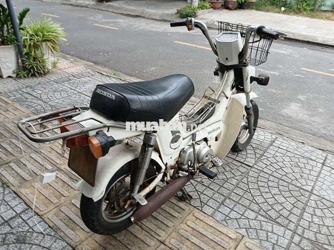 Xe chally honda Nhật, đời 1979 , máy còn rất ngon