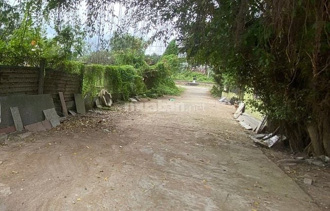 BÁN LÔ ĐẤT 200M KIỆT Ô TÔ 5M – THÔN DƯƠNG SƠN, PHƯỜNG HÒA CHÂU