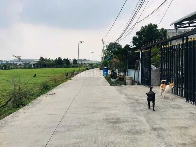Chính chủ bán nhanh lô đất, 95m2, Tân Phú Trung, SHR, 995tr