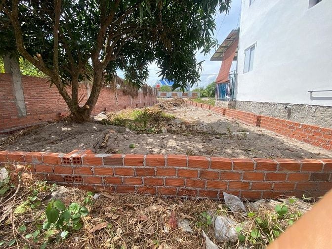 Bán cây xoài tặng lô đất Lộc An Hồ Tràm cách biển 800m