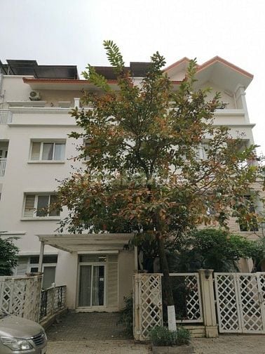 Cho thuê biệt thự liền kề khu Đô thị Splendora Bắc An Khánh, Hoài Đức
