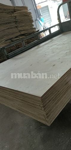Cần tuyển GẤP NAM LĐPT làm ván ép