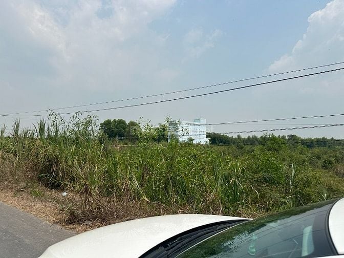 Bán đất mặt tiền đường Trần Văn Trà 100x100m Bình Phong Thạnh- Long An