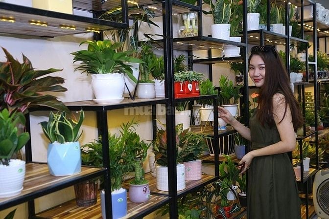 NV Bán hàng ca tối shop Hoa Lan Cây cảnh