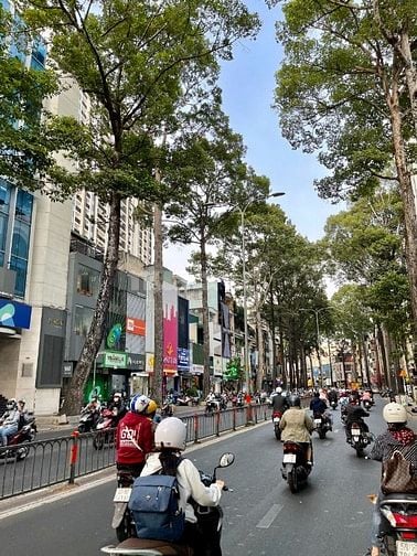 Tòa nhà MT 3 Tháng 2 đối diện Hà Đô. DT 4x11m, 7 tầng