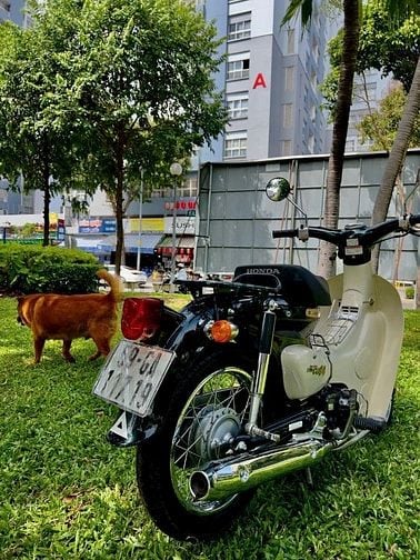 Bán xe honda little cúp 14 ,hqcn