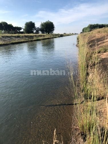 Quá rẻ cho 20000m2 (2ha) ở Bình thuận giá chỉ chưa tới 50ngàn/m2 