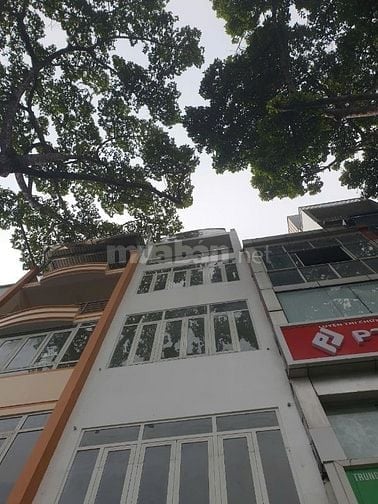 Cho thuê nhà mặt tiền kinh doanh đường 3 Tháng 2, Phường 12, Quận 10