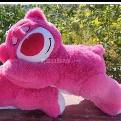 Cần 5 bạn phụ bán hàng tại đồng xoài 