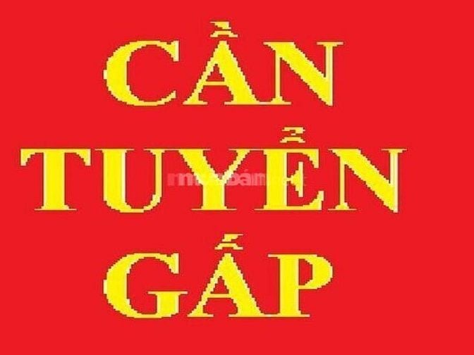 Tuyển Gấp Nhân viên nam hoặc nữ phục vụ có kinh nghiệm,  9h đến 23h