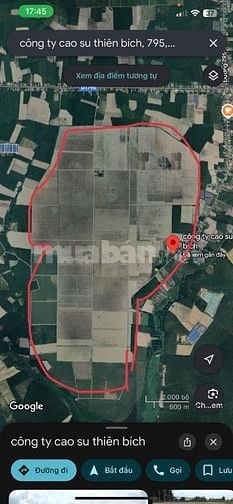 Bán 570 mẫu đất cây lâu năm, suối Ngô, Tân Châu, Tây ninh giá 500ty Tl