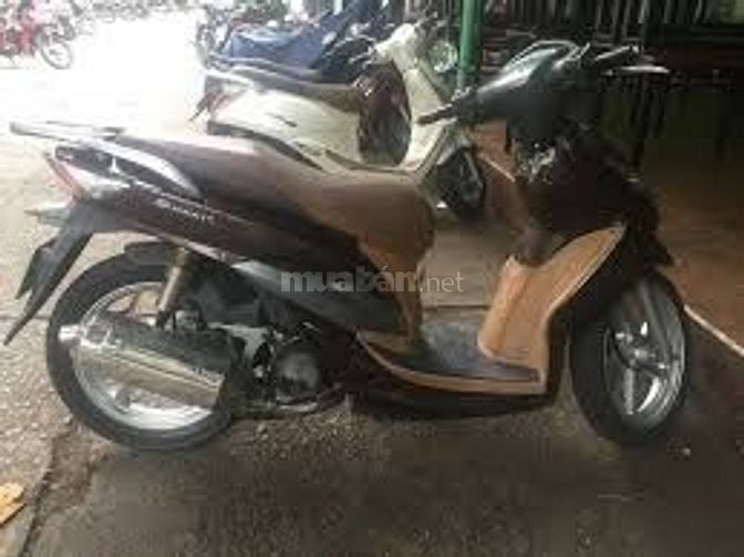 Xe Shark đang sử dụng, biển hà nội