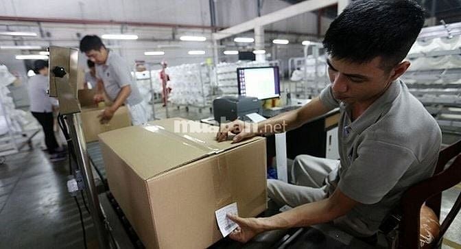 CẦN TUYỂN GẤP NHÂN VIÊN PHỤ KHO.