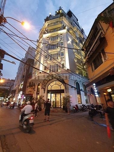 Cho thuê mặt bằng kinh doanh phố Phan Kế Bính, Mặt tiền lô góc 30m