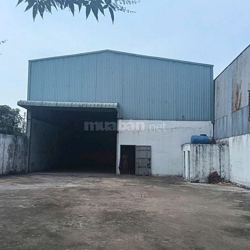 CHO THUÊ KHO Mt đường nhựa 12m , Bình Chánh, 25 triệu