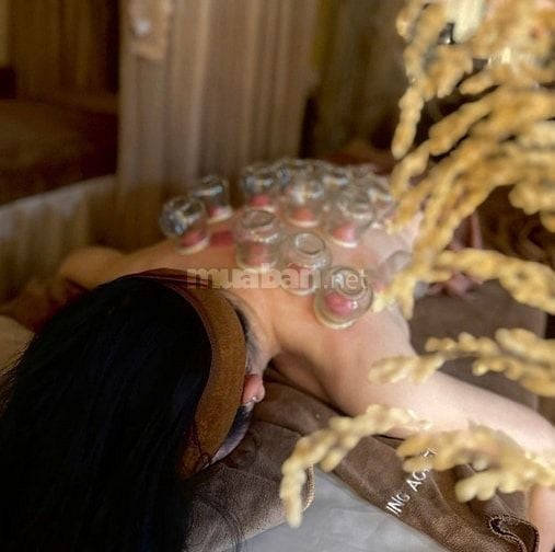 Massage body thư giãn tại nhà giảm đau nhức, giá tốt