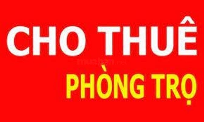 Cho thuê phòng trọ ở ngõ 87 Nguyễn Khang, Yên Hòa, Cầu Giấy, Hà Nội