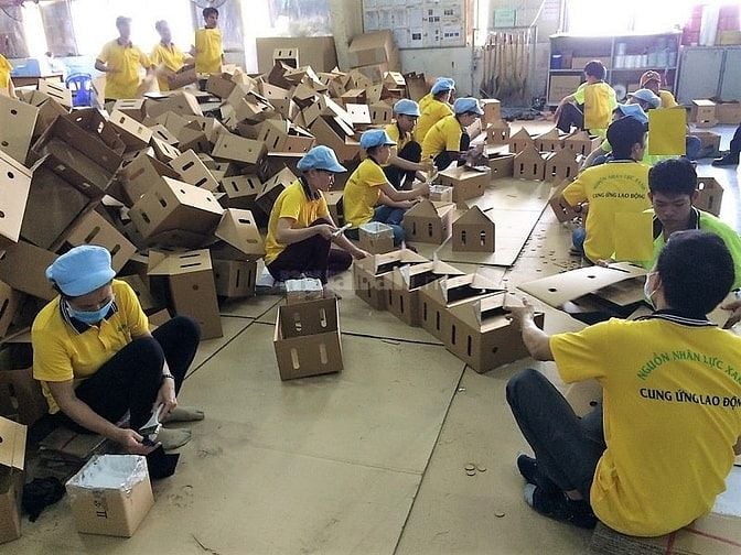 Cần Gấp Nhân Viên  Dán Tem, Mã Vận Đơn, Gói Hàng
