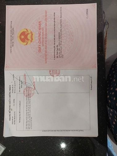 chính chủ bán đất tặng nhà cấp 4 Đường 826C, Xã Long Hậu