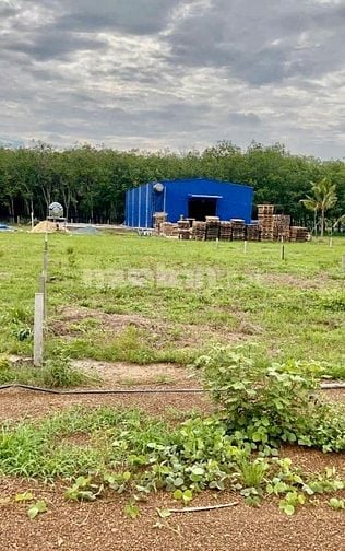 CHÍNH CHỦ BÁN ĐẤT GIÁ RẺ CÒN THƯƠNG LƯỢNG