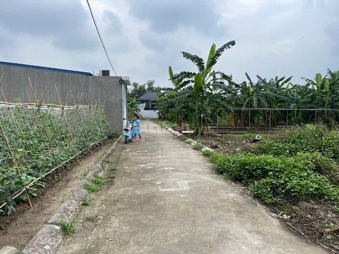 Bán lô đất 60m2 tại Kiều Hạ, Quốc Tuấn, An Dương, Hải Phòng. Giá 760 t