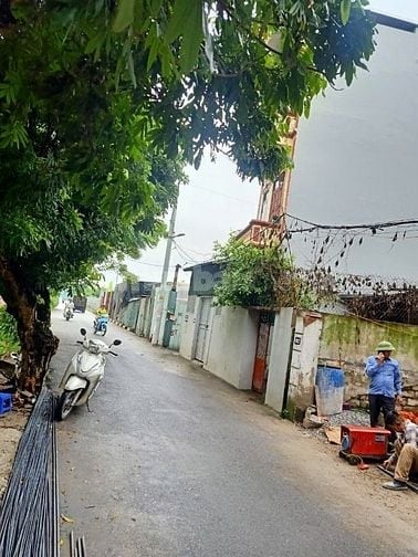 Đất Thanh Trì đường oto 2 làn, gần trường cao đẳng Bách Khoa