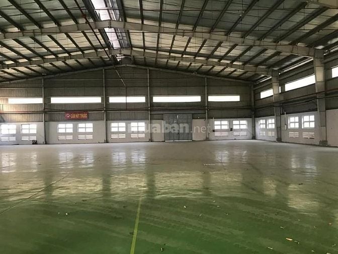 Cho thuê kho xưởng mới tại KCN Củ Chi, PCCC tự động, bàn giao T12/2025