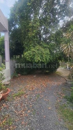 BÁN ĐẤT THỔ CƯ 221m2 (5x44) TẠI LONG SƠN, CẦN ĐƯỚC