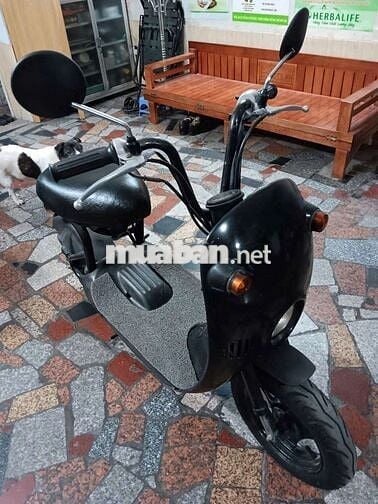 Xe cổ sưu tầm