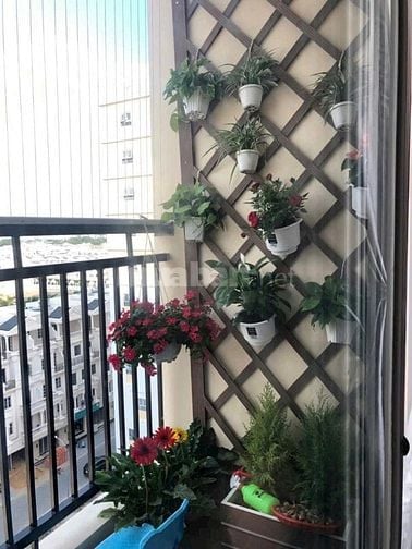 Chung cư Ruby Garden, Nguyễn Sỹ Sách, P15, TB, 80m2, 2PN, 10tr/tháng