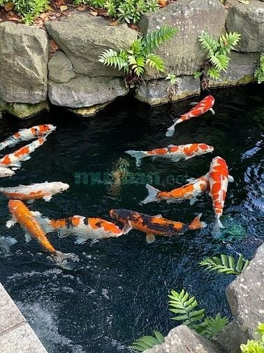 Việc làm dành cho sinh viên khu vực Gò Vấp - Tân Bình