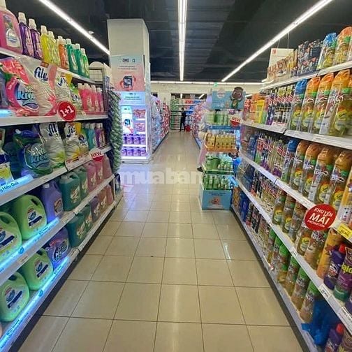 Tuyển Giúp việc Tạp vụ.làm việc tại cửa hàng. Có CCCD nhận việc. 