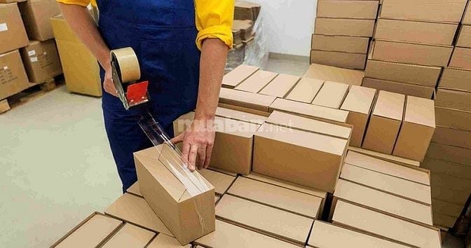 Công Ty Sữa Non ! Tuyển Nhân Viên Đóng Gói Hàng Hóa , Phân Loại Hàng