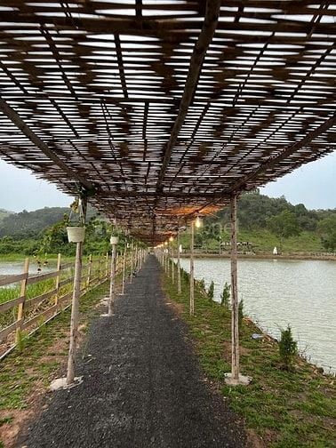 Bán đất Đang Kinh Doanh Buôn Bán ấp Bàu Chim, Xã Phú Xuân, Tân Phú ĐN