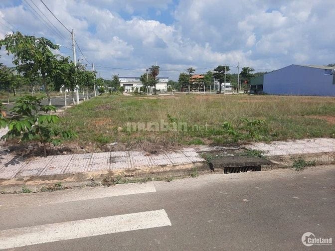 Đất chính chủ Hậu Nghĩa – Gần Vinhomes, tiện ích đầy đủ, giá tốt nhất 