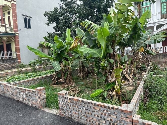 Bán đất thôn Đồng Xã và thôn Sơn Du xã Nguyên Khê huyện Đông Anh
