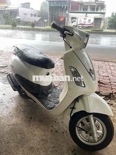 xe attila trắng biển phố